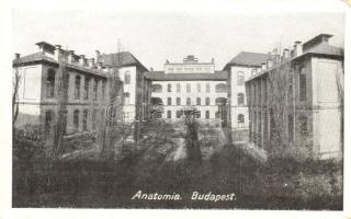 Budapest IX. Anatómiai Intézet (EB)