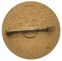 Vastagh Éva (1900-1942) 1935. "IX. Nemzetközi Dermatológiai Kongresszus Budapest" Br jelvé...