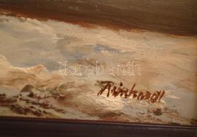 Reinhardt István (1936-): Téli tópart. Olaj, farost, jelzett, keretben, 16;×21 cm