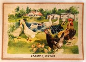 cca 1960 Baromfiudvar, kisiskolás oktatóplakát, karton, 65x95cm