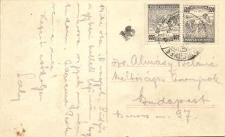 Mezőhegyes, Lovarda, Nonius XIV törzsmén