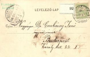 Mohács, Duna gőzhajózási társaság állomása; Weiser Miksa kiadása