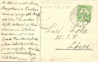 1908 Az MFTR Margit gőzös kiemelése / pulling out the sunken Hungarian steamship, SS Margit, photo