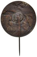 Szamosi Soós Vilmos (1885-1972) 1920. "Magyar Nemzeti Szövetség 1919" Br jelvény tagsági j...