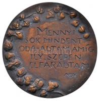 Konyorcsik János (1926-2010) DN "Mennyi sok mindent oda-adtam amíg ily szépen elfáradtam - Ady" egyoldalas Br érem mesterjegy nélkül (90mm) T:2 Hungary ND One-sided Br medallion with citation from Endre Ady. János Kocsornyik's work, without signature (90mm) C:XF