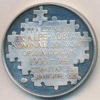 1994. "Az Alpok-Adria Munkaközösség alapításának 15. évfordulójára az Alpok-Adria Munkaközösség elnöksége 1993/1994" fém emlékérem eredeti tokban tájékoztatóval (42,5mm) T:2 (PP)