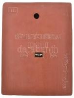 Kisfaludy Stróbl Zsigmond (1884-1975) 1974. "Gróf Széchenyi István / Közlekedéstudományi Egyesü...