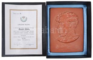 Kisfaludy Stróbl Zsigmond (1884-1975) 1974. "Gróf Széchenyi István / Közlekedéstudományi Egyesü...