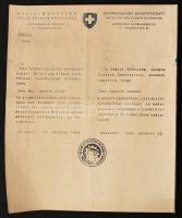 1944 A Svéd Követség fényképes menlevelének korabeli hiteles másolata / Protective Schutz-pass of the Swedish Embassy for Jewish person. Official copy from 1944.