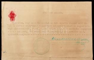 1944 A Svéd Követség fényképes menlevelének korabeli hiteles másolata / Protective Schutz-pass of th...