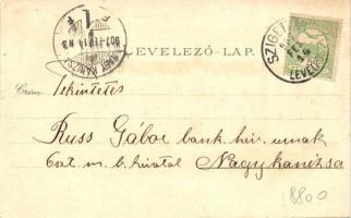 Szigetvár, Polgári leányiskola, floral litho