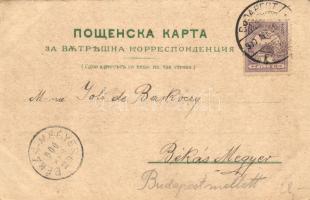 Sofia, Cathedrale, Rue de commerce, floral