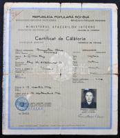 1960 Román kivándorló útlevél Izraelbe, különböző vizumokkal (olasz, izraeli, jugoszláv), pecséttel, és olasz okmány bélyeggel, szakadásokkal, 29x25cm