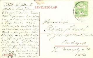 Tata, Régi vár, legelő