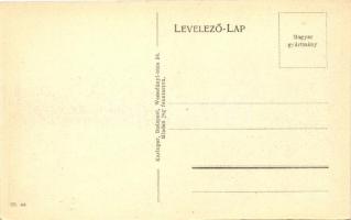 Piliscsaba, Miakich-villa