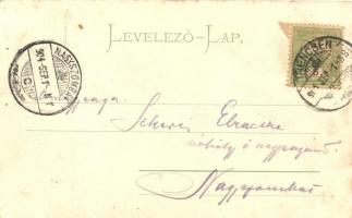 Trencsén, Trencín; Erzsébet szálloda, kiadja Gansel Lipót / hotel