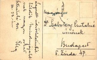 Őrmező, Strázske; gróf Széchenyi László kastélya / castle (EK)