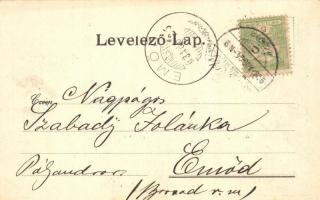 Nagymihály, Mihalovce; Főtér, gyógyszertár, 'Fűszer és Vasraktár', Bucsinszky Lajos üzlete...