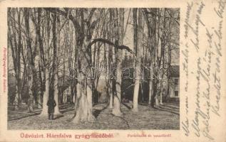 Szolyva-Hársfalva, Nelipino; Parkrészlet és vasasfürdő / Park detail with spa building