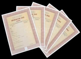 ~1990. "Első Danubius Közraktározási és Kereskedelmi Zrt. Közraktározási Jegy" kitöltetlen...