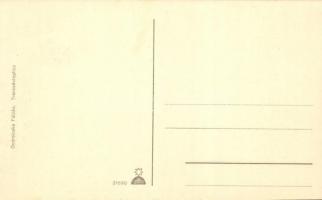 Trencsénteplic, Trencianske Teplice; Klepacs kilátó torony, kiadja Ondreicska Fábián / lookout tower