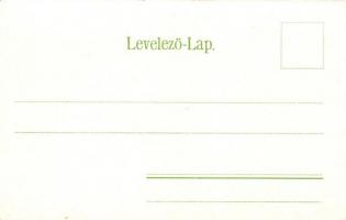 Trencsénteplic, Trencianske Teplice; látkép, Trencsén vármegye térképe, kiadja Wertheim Zsigmond / g...