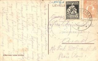 Nagysomkút, Somcuta Mare; Gróf Teleki birtok parkjának részlete, kiadja Silbermann Lajos / park deta...