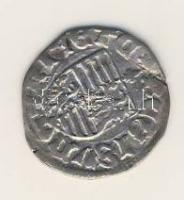 Denár Ag Zsigmond 1387-1437. T:2/3