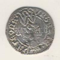 Denár Ag II.Ulászló 1490-1516. T:2/3