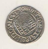 Denár Ag II.Lajos 1516-1526. T:2/3