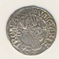 Denár Ag II.Lajos 1516-1526. T:2/3