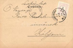 1899 All Heil, bicycle; Wiener Künstler-Postkarte Philipp & Kramer VII/7