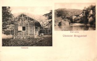 Brogyán, Vadászlak, Brali szikla / hunting cottage