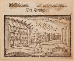 1708 Mesterségek fametszetes bemutatása, 17 fametszetes ábra különféle mesterségekkel, magyar, német...