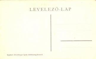 Áj, Háj; Vízimalom; kapható Steinberger Ignác dohánynagyárusnál / mill