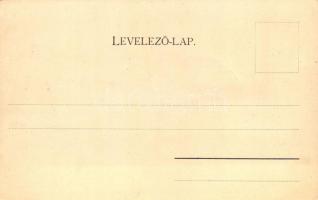 Pozsony, Bratislava; látkép a várral / general view with the castle (EK)