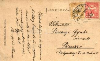 Beszterce, Bistrita; Fa utca, Takarékszövetkezet épülete, Kórház utca, kiadja Bartha Mária / Street ...