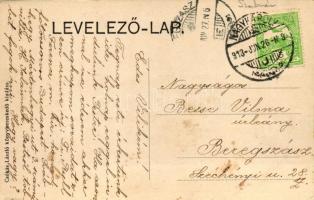 Nagykároly, Carei; Városháza, kiadja Csókás László / Town hall (EK)