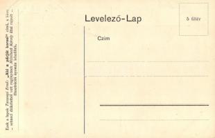 Selmecbánya, Banská Stiavnica; 'Steingrubeni disznótori menet, Éljen a bíró, meg a disznó!'...