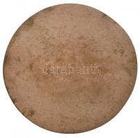 Solymári Valkó László (1909-1984) 1955. "Hubay Jenő 1858-1937" egyoldalas Br érem (90mm) T...