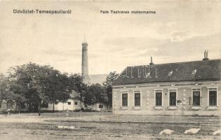 Temespaulis, Pavlis; Falb Testvérek motormalma / mill of the Falb Brothers