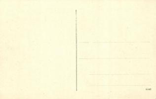 Temespaulis, Pavlis; Falb Testvérek motormalma / mill of the Falb Brothers