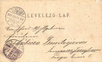 Temesvár, Timisoara; Losonczy tér, Hungária szálló, Balázs tér, Jenő herceg tér, kiadja Kossak Józse...