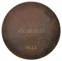 Berán Lajos (1882-1943) 1931. "Magyar Amatőr Fényképezők Országos Szövetsége" Br emlékérem...