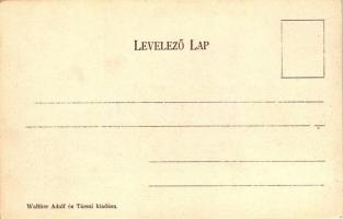 Besztercebánya, Banská Bystrica; Urpin (hegy) levéve a toronyból, kiadja Walther Adolf / Mt. Urpin t...