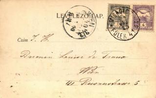 Feled, Jesenské; vasútállomás, malom, Rima-zúgó / railway station, watermill, river rapids; floral, ...