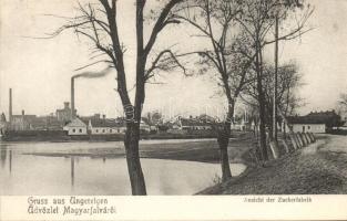 Magyarfalva, Magyarfalu, Záhorská Ves; a cukorgyár látképe / view of the sugar factory