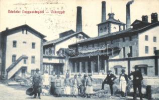 Nagysurány, Surany; Cukorgyár, gyári alkalmazottak csoportképe, kiadja Deutsch Ármin / sugar factory, group picture of the factory employees