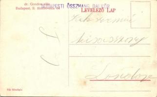 Budapest II. Bimbó utca 64. Dr. Gondos-villa, Sík felvétele