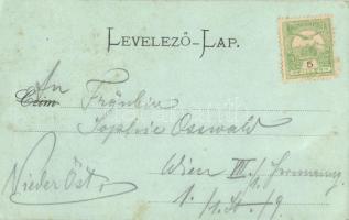 Nagyszombat, Trnava; Nagy Lajos utca, a főtérrel, kiadja Horovitz Adolf / street with the main squar...